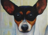 Original 6 x 6 Custom Portrait of Your Dog, Cat or Exotic Pet