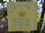Handpainted Baby Announcement/Baby Information