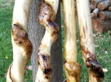 Carved Snake Walking Stick