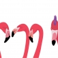 Funky Flamingo